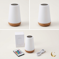 RGB Night Lamp — 13-Color Touch & Remote Control, USB Rechargeable